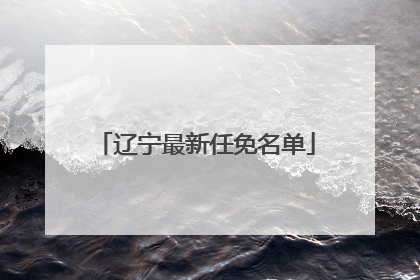 辽宁最新任免名单