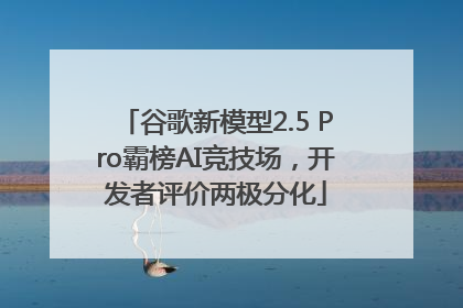 谷歌新模型2.5 Pro霸榜AI竞技场,开发者评价两极分化