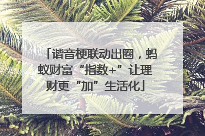 谐音梗联动出圈，蚂蚁财富“指数+”让理财更“加”生活化