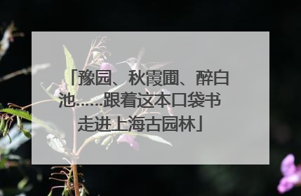 豫园、秋霞圃、醉白池……跟着这本口袋书走进上海古园林
