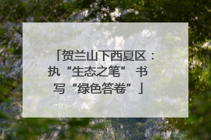 贺兰山下西夏区：执“生态之笔” 书写“绿色答卷”