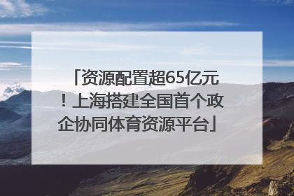 资源配置超65亿元！上海搭建全国首个政企协同体育资源平台