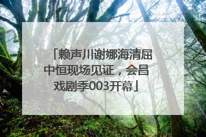 赖声川谢娜海清屈中恒现场见证，会昌戏剧季003开幕