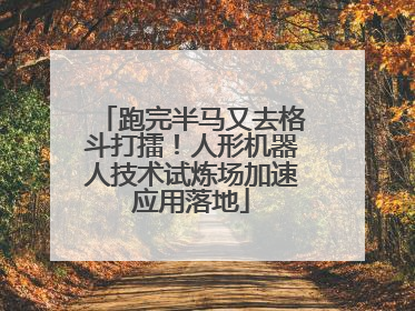 跑完半马又去格斗打擂！人形机器人技术试炼场加速应用落地