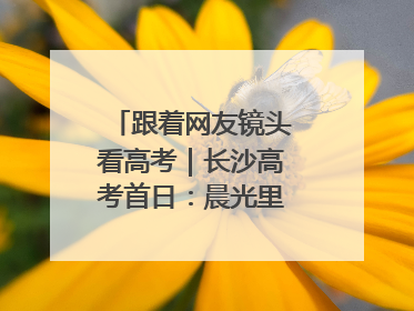 跟着网友镜头看高考｜长沙高考首日：晨光里的奔赴与守望