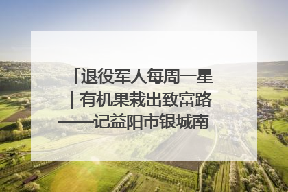 退役军人每周一星｜有机果栽出致富路——记益阳市银城南湖蔬果农民专业合作社总经理晏桂明