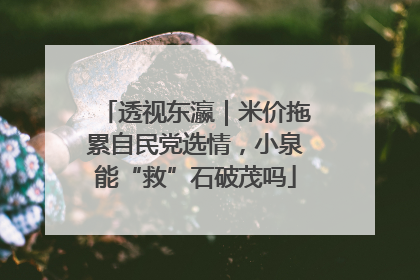 透视东瀛｜米价拖累自民党选情，小泉能“救”石破茂吗