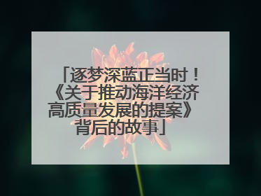 逐梦深蓝正当时！《关于推动海洋经济高质量发展的提案》背后的故事
