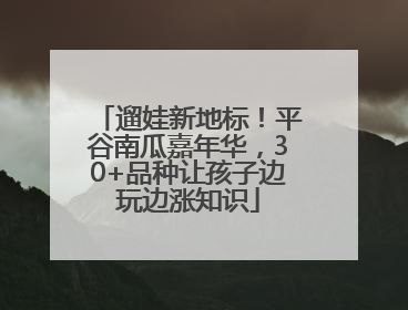 遛娃新地标！平谷南瓜嘉年华，30+品种让孩子边玩边涨知识
