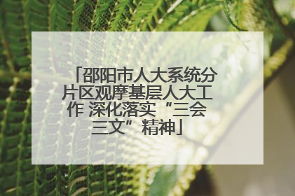 邵阳市人大系统分片区观摩基层人大工作 深化落实“三会三文”精神