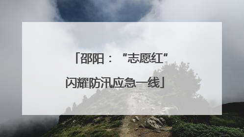 邵阳：“志愿红”闪耀防汛应急一线