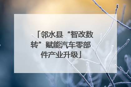 邻水县“智改数转”赋能汽车零部件产业升级