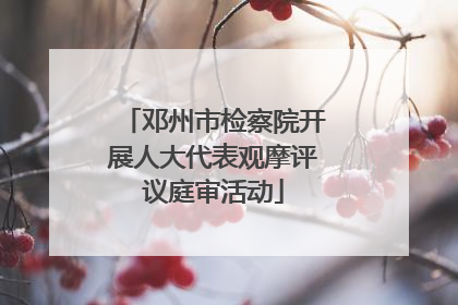 邓州市检察院开展人大代表观摩评议庭审活动