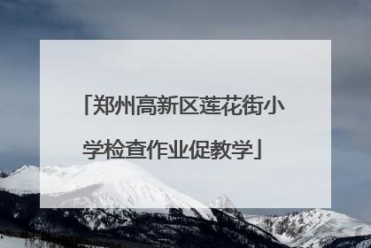 郑州高新区莲花街小学检查作业促教学