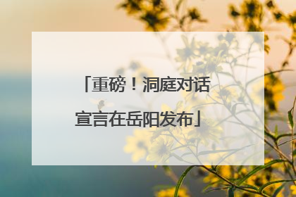重磅！洞庭对话宣言在岳阳发布
