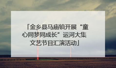 金乡县马庙镇开展“童心同梦同成长”运河大集文艺节目汇演活动
