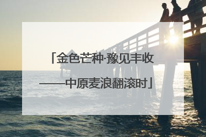 金色芒种·豫见丰收——中原麦浪翻滚时