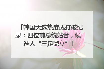 韩国大选热度或打破纪录：四位前总统站台，候选人“三足鼎立”
