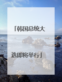 韩国总统大选即将举行
