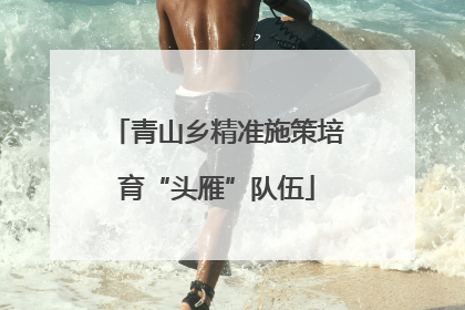 青山乡精准施策培育“头雁”队伍