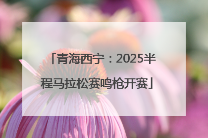 青海西宁：2025半程马拉松赛鸣枪开赛