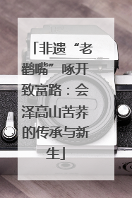 非遗“老鹳嘴”啄开致富路：会泽高山苦荞的传承与新生