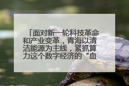 面对新一轮科技革命和产业变革，青海以清洁能源为主线，紧抓算力这个数字经济的“血液”、科技主权的“筹码”、产业升级的“杠杆”、绿色转型的“支点”，勇于撬动国家“双碳”战略、“东数西算”工程重大发展新机遇