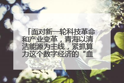 面对新一轮科技革命和产业变革，青海以清洁能源为主线，紧抓算力这个数字经济的“血液”、科技主权的“筹码”、产业升级的“杠杆”、绿色转型的“支点”，勇于撬动国家“双碳”战略、“东数西算”工程重大发展新机遇，点亮绿色算电协同新赛道，蹚出一条符合本地实际的高质量发展之路——青海：“绿色算力” 锚定“东数西算”国家战略布局