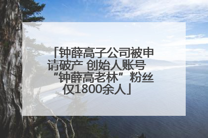 钟薛高子公司被申请破产 创始人账号“钟薛高老林”粉丝仅1800余人