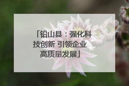 铅山县：强化科技创新 引领企业高质量发展