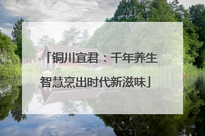 铜川宜君：千年养生智慧烹出时代新滋味