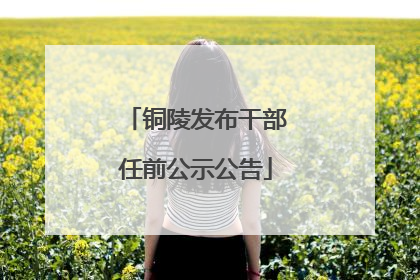 铜陵发布干部任前公示公告