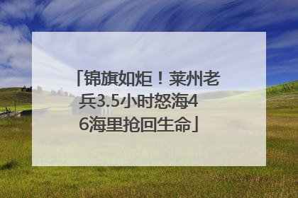 锦旗如炬！莱州老兵3.5小时怒海46海里抢回生命