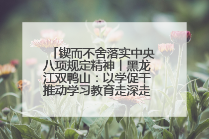 锲而不舍落实中央八项规定精神丨黑龙江双鸭山：以学促干推动学习教育走深走实 从小事入手写好“民生答卷”