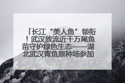 长江“美人鱼”领衔！武汉放流近千万尾鱼苗守护绿色生态——湖北武汉青鱼原种场参加2025年“全国放鱼日”增殖放流活动