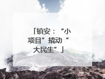 镇安：“小项目”撬动“大民生”