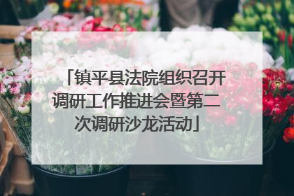 镇平县法院组织召开调研工作推进会暨第二次调研沙龙活动
