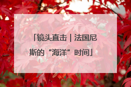 镜头直击｜法国尼斯的“海洋”时间
