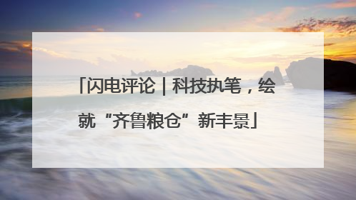 闪电评论｜科技执笔，绘就“齐鲁粮仓”新丰景