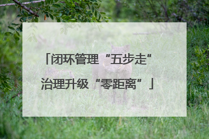闭环管理“五步走” 治理升级“零距离”