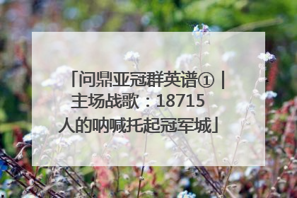 问鼎亚冠群英谱①｜主场战歌：18715人的呐喊托起冠军城
