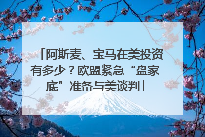 阿斯麦、宝马在美投资有多少？欧盟紧急“盘家底”准备与美谈判