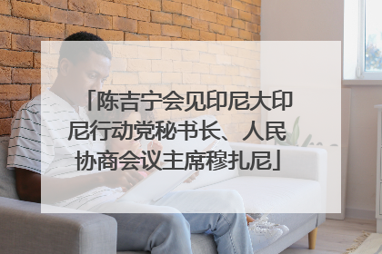 陈吉宁会见印尼大印尼行动党秘书长、人民协商会议主席穆扎尼
