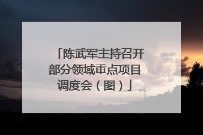陈武军主持召开部分领域重点项目调度会（图）