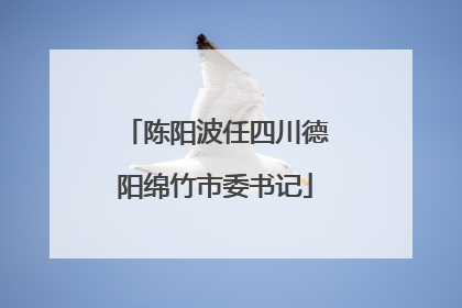 陈阳波任四川德阳绵竹市委书记