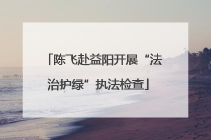 陈飞赴益阳开展“法治护绿”执法检查
