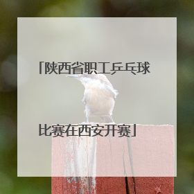 陕西省职工乒乓球比赛在西安开赛