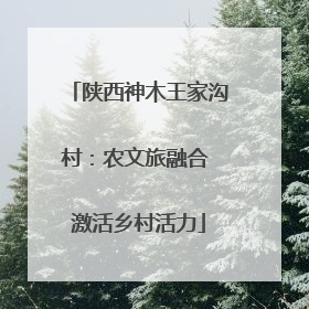 陕西神木王家沟村：农文旅融合 激活乡村活力