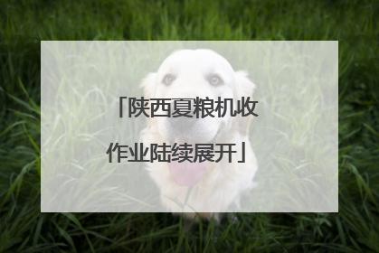 陕西夏粮机收作业陆续展开