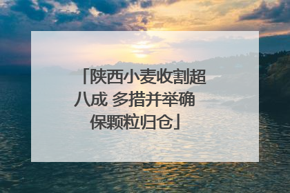 陕西小麦收割超八成 多措并举确保颗粒归仓